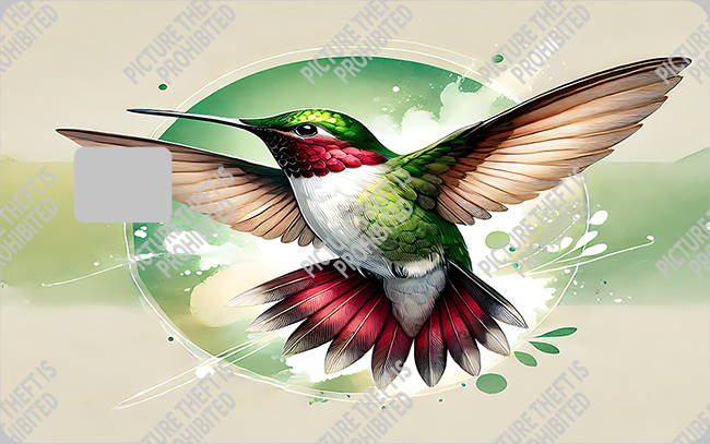 Bank  Card Sticker-BC-2418